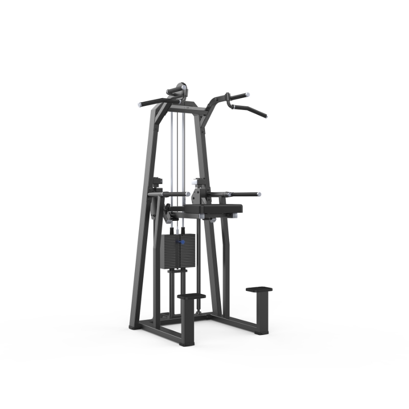 Resim PROFITNESS JN3009T DIP/CHIN ASSIST      - Profitness 
