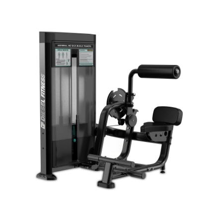 Resim DIESEL FITNESS K LINE AB / BACK EXTENSION      